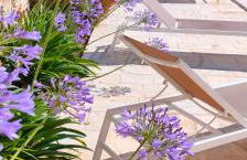 Trullo la perla di pietra - Foto 51