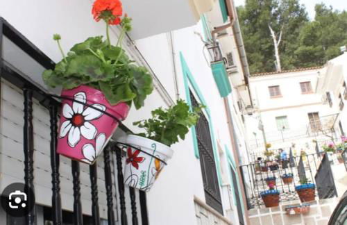 Apartaestudio Villanueva del Trabuco - Photo 32