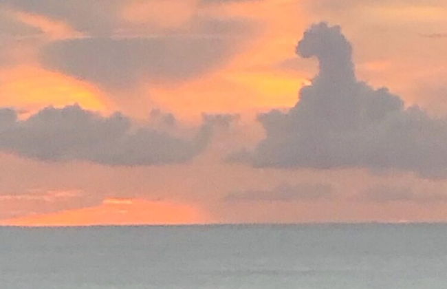 Castara Inn - Photo 59