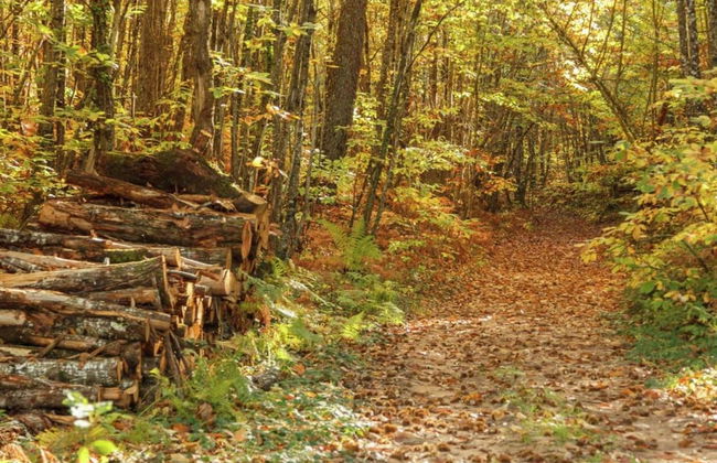 Sunflower Valley Villa, Leobard - Foto 32