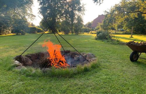 Schwalbennest - Foto 18