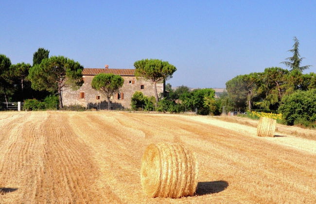 Nice Farmhouse in Asciano With Shared Pool - Foto 31