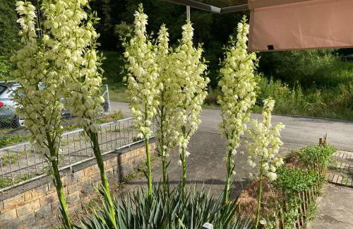 Monteurunterkunft Rottweil - Foto 11