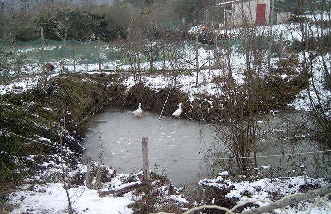 Agriturismo le Cammarose - Photo 28