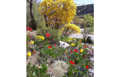 Family- friendly apartment in bavarian forest - Foto 15