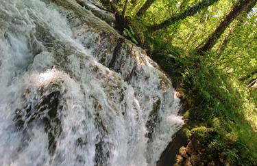 Villa Dobra - Foto 2