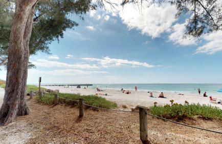 Safari Suite - Photo 1