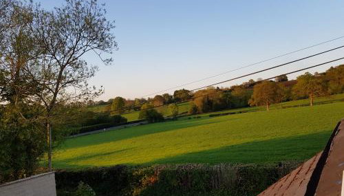 yew tree cottage - Photo 4