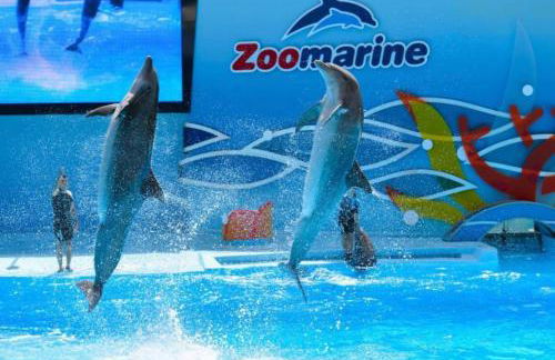 Casa Antonio - Foto 26