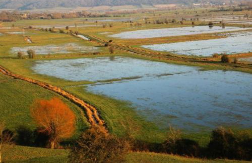 Shepherds Hut Near Exmoor National Park - Foto 62