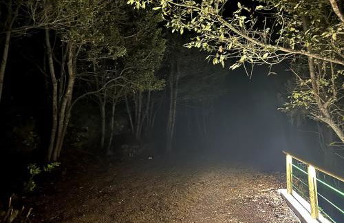 Viva Forest Apartment, Stevier - Foto 18