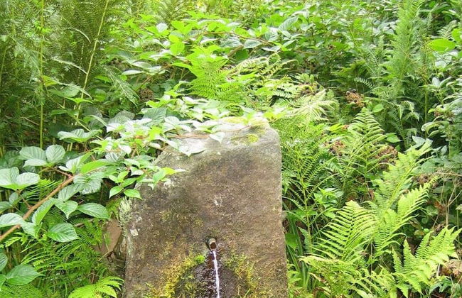 2 Fuchskreuzhof - Foto 31