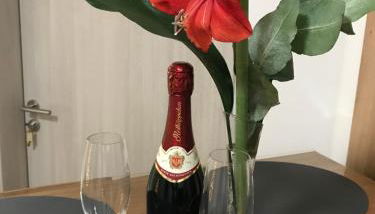 Villa Cologne - Apartments & Monteursquartiere in Meckenheim bei Köln - Foto 3