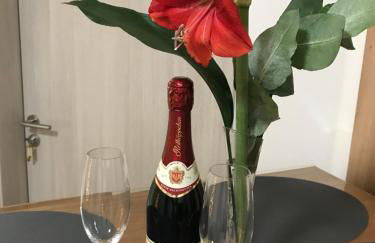 Villa Cologne - Apartments & Monteursquartiere in Meckenheim bei Köln - Foto 3