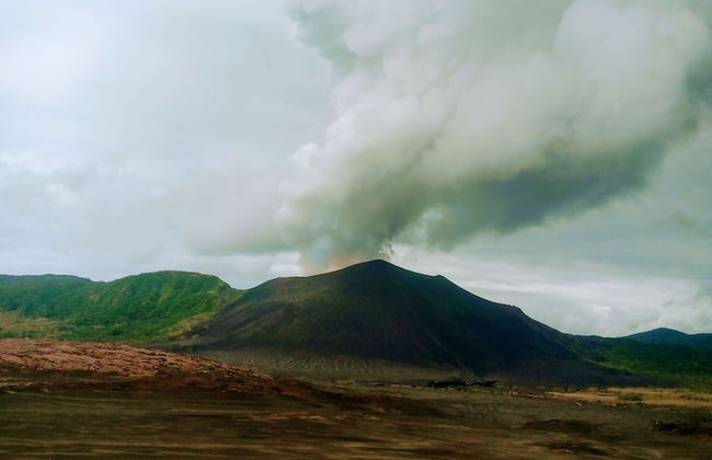 Glowing Mountain view tree house - Foto 19