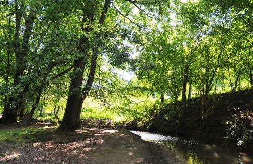 Byford Lodge Luxury self-catering in Louth - Foto 35