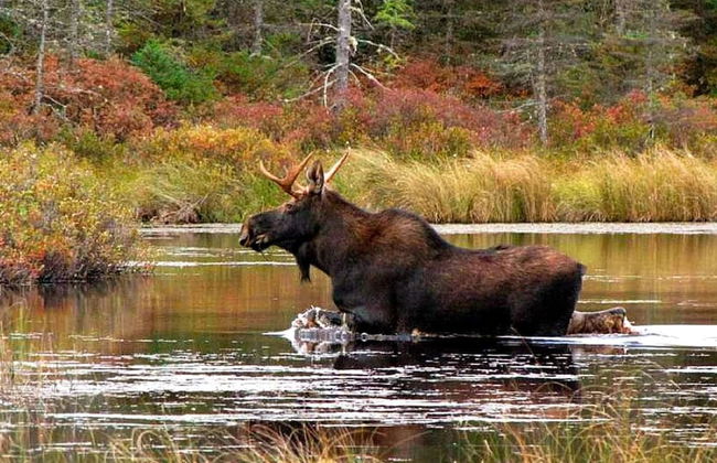 6 Person Holiday Home in Torsby-by Traum - Foto 5