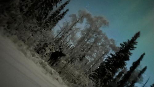 Northern Lights Getaway! - Foto 5