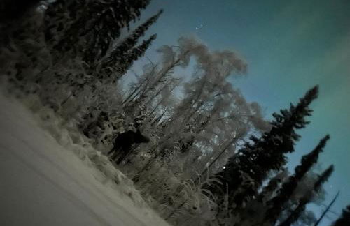 Northern Lights Getaway! - Foto 5