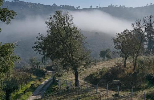 Raposa Verde - Agroturismo - Foto 36