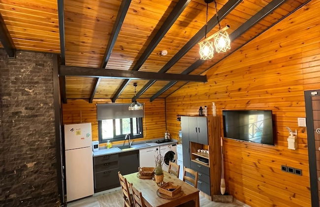 Sapanca Dereboyu Konakları - Foto 14