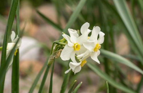 Agriturismo Pozzo Fiorito - Foto 47