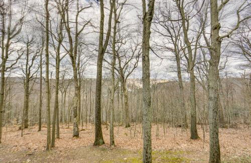 Pristine Resort Townhome 2 Mi to Seven Springs Mtn - Foto 26