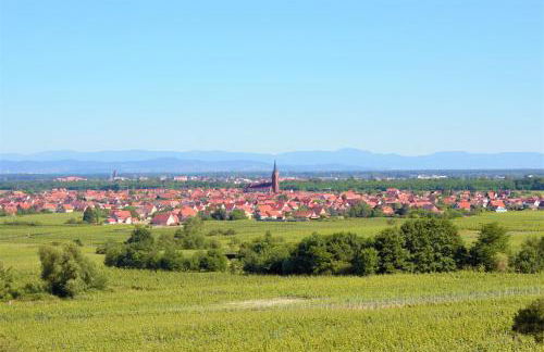 La Halte des Vignes - Route des vins d'Alsace - Foto 25