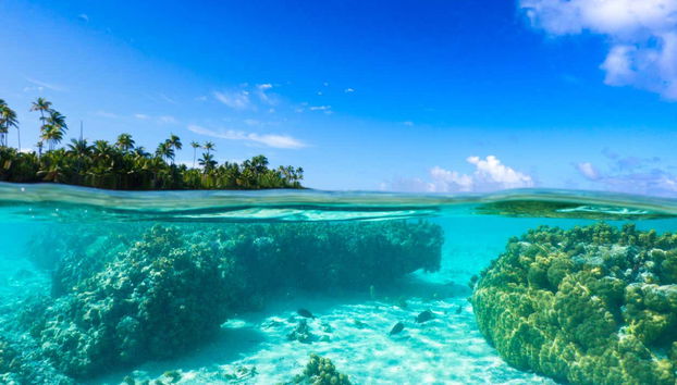 Tetiaroa Catamaran Day Trip - Foto 3