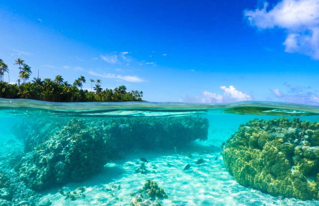 Tetiaroa Catamaran Day Trip - Foto 3