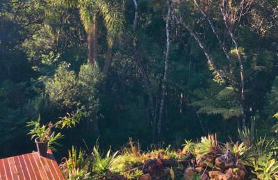 Propriedade inteira e Kombi-home em meio à mata - Foto 18