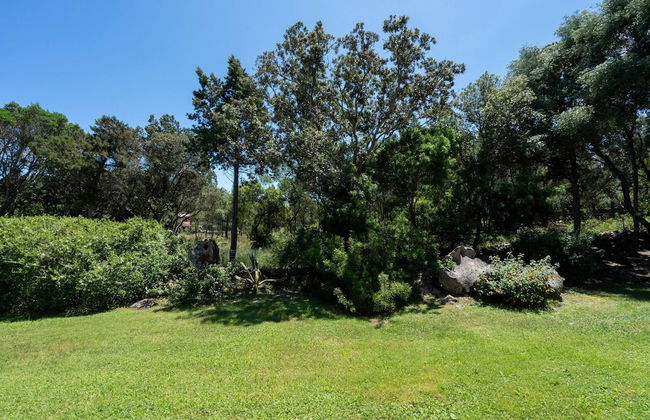 Porto Rotondo - Appartamento in Centro, 8 Minuti Da Spiaggia Ira - Foto 16