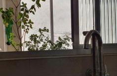 Apartamento Amplo vista mar - Foto 9