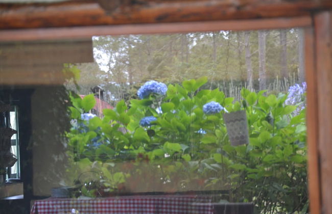 Villa Pajon Eco Lodge - Foto 1