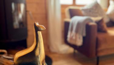 The Alpaca Cabin - Foto 3