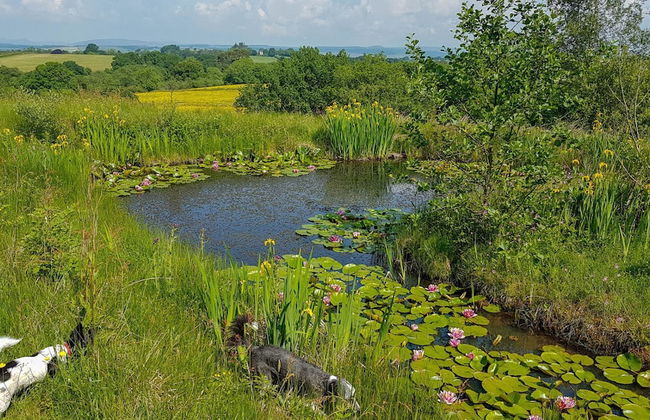 Tanglewood Barn - Foto 36