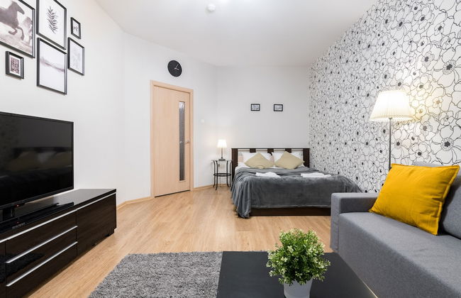 One Bedroom Great View Apartment near Gazprom Arena, UEFA 2022 - Foto 2