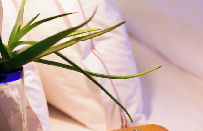 Kolonies Tuin - Foto 28