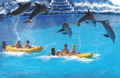 Cometa Center - Photo 38