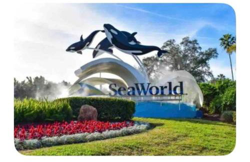 LuXury Stay | Pool + Gym + Fast Wi-fi - Foto 29