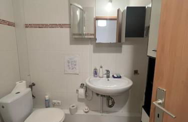 Private Souterrain Apartment in the green of Berlin - Foto 13