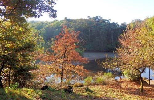 Gîte en pleine nature avec Wifi, animaux acceptés - FR-1-489-122 - Foto 34