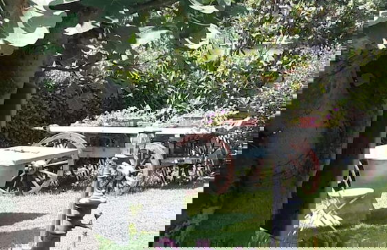 B&B VillaGaia - Foto 35