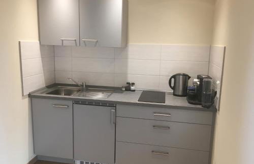 Gasthof Zum Ochsen - Foto 64