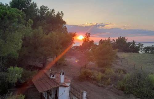 Costa Mama VIlla - Photo 22