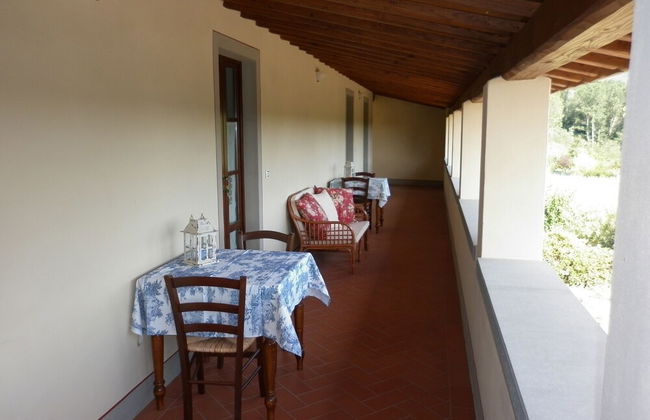 azienda agricola lo zolfino - Foto 45