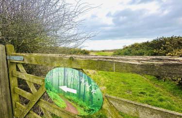 Dunlin Retreat - Foto 46