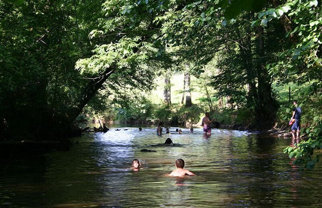 Gites Chez Annick et Patrick - Photo 74