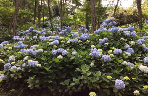 Apartamentos Mar y Mar Agroturismo - Foto 39