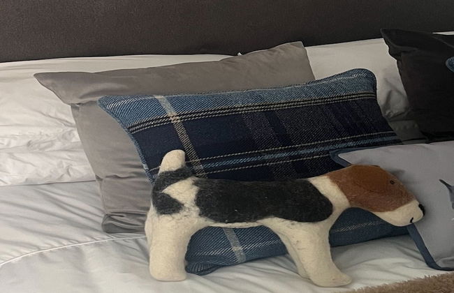 Stunning 1-bed Private Apartment in Norwich - Foto 2